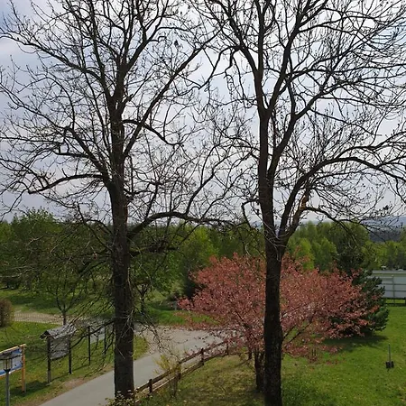 德尔布鲁德霍赫贝格酒店 玛丽恩堡